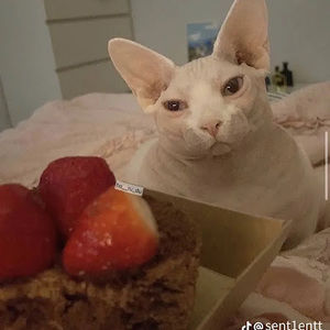 Meet your Posher, Krista